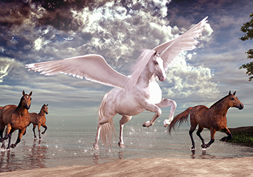 Menù del Pegaso